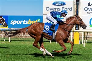 Toogoodfortoorak, Wangaratta Cup March 2024